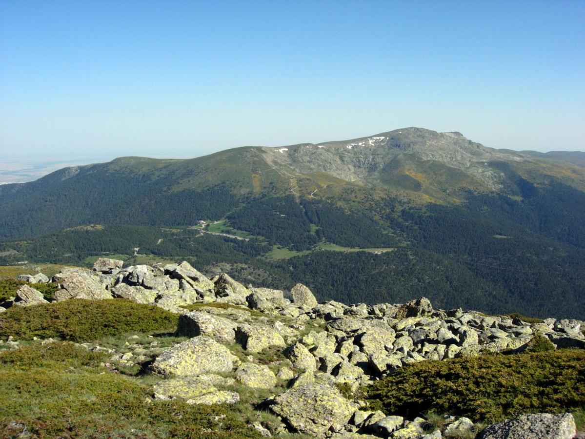 Esta montaña del interior de la península ibérica es la más alta de la Sierra de Guadarrama, con nada menos que 2.428 metros de altitud. El pico es uno de los más emblemáticos de este sistema montañoso y forma parte del Parque nacional de la Sierra de Guadarrama. Además es de fácil acceso gracias a su proximidad al puerto de Cotos.