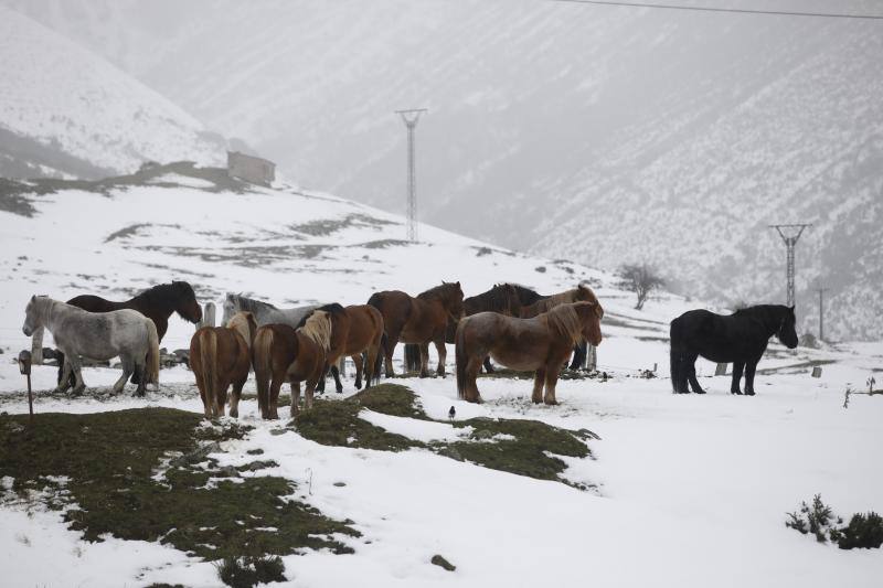 El temporal de lluvia, nieve, viento y olas ha seguido presente este lunes en el Principado