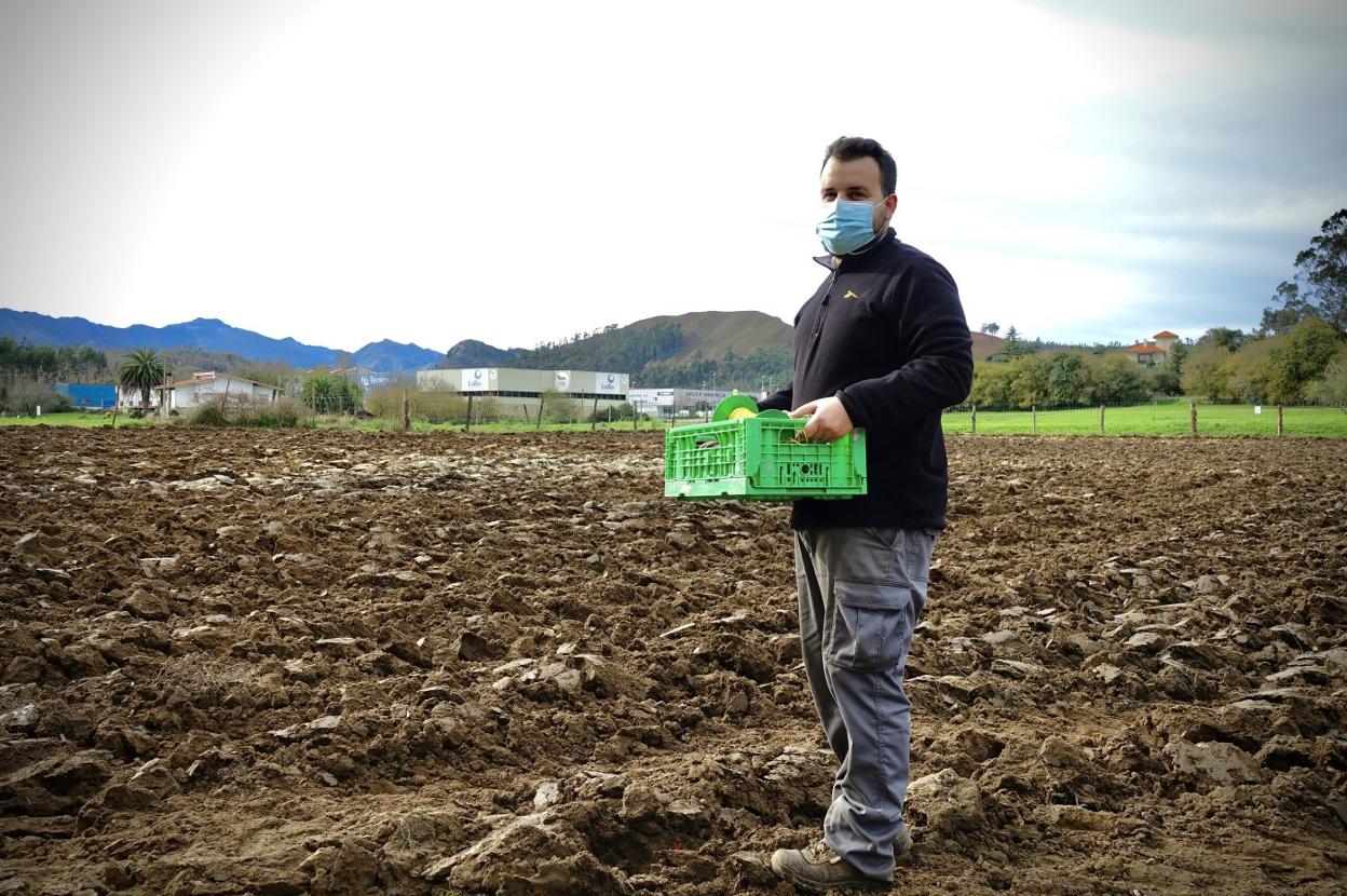 Fernando Ruenes, ante los terrenos de Bricia, ya preparados para una nueva plantación de fresas. 