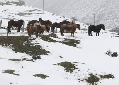 Imagen secundaria 1 - Llega la nieve, pero escasa a las estaciones de esquí