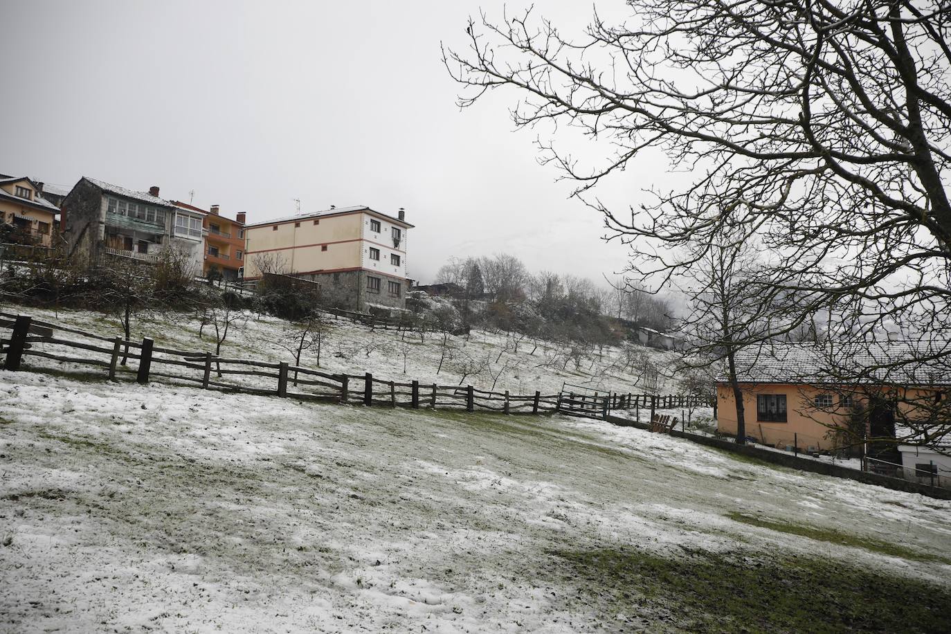 El paso de las borrascas 'Dora' y 'Ernest' ha dejado una situación «realmente complicada» en las carreteras de Asturias, en palabras del consejero de Cohesión Territorial, Alejandro Calvo. La nieve y, sobre todo, los desprendimientos y crecidas de ríos han obligado a movilizar efectivos para evitar la incomunicación de los pueblos más afectados