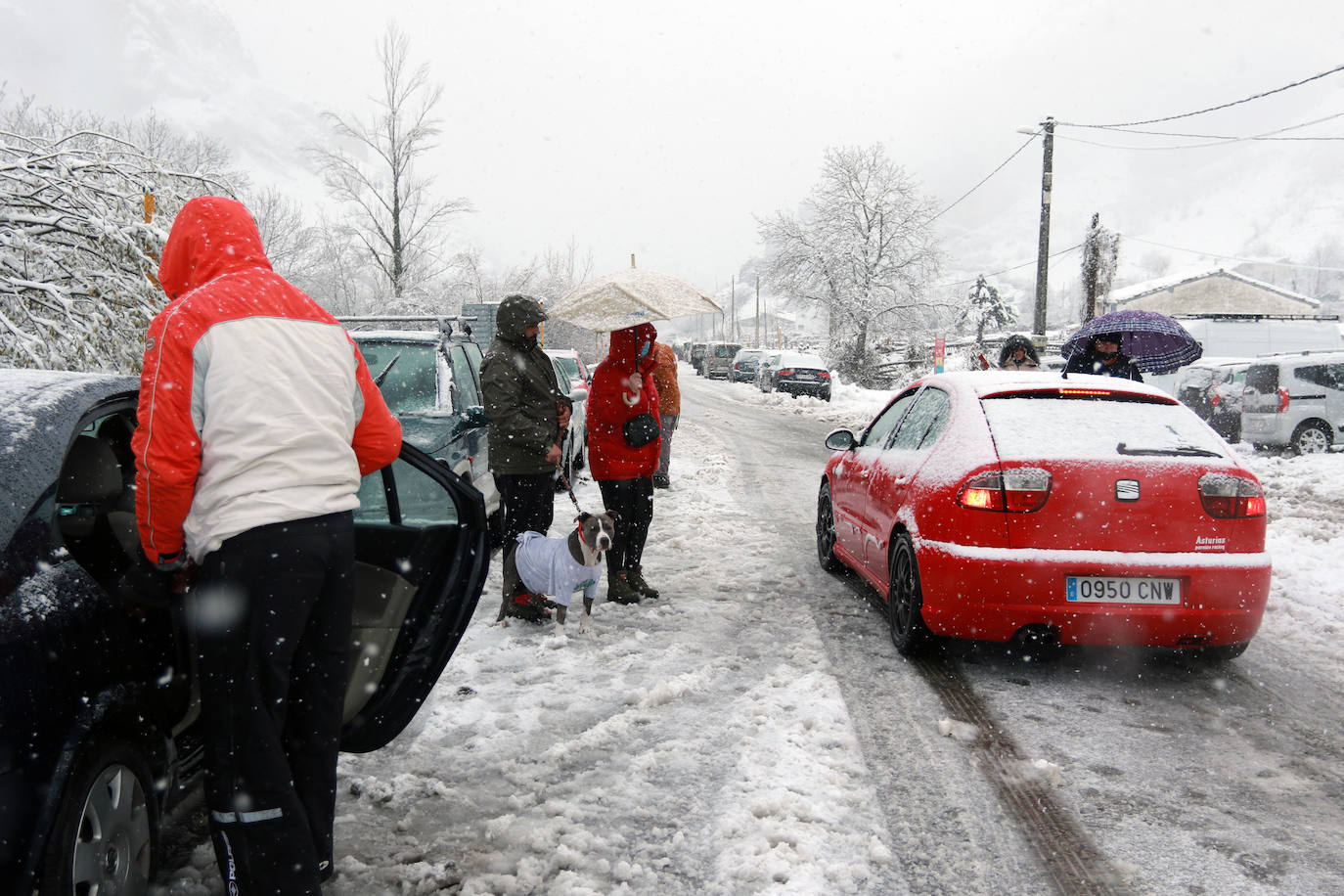 El paso de las borrascas 'Dora' y 'Ernest' ha dejado una situación «realmente complicada» en las carreteras de Asturias, en palabras del consejero de Cohesión Territorial, Alejandro Calvo. La nieve y, sobre todo, los desprendimientos y crecidas de ríos han obligado a movilizar efectivos para evitar la incomunicación de los pueblos más afectados.