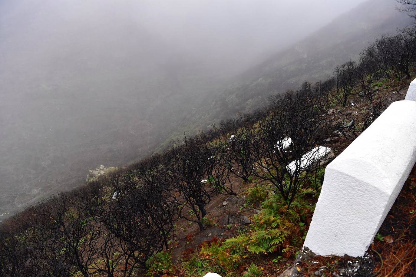 Un avilesino, dos de sus hijas y un yerno han fallecido al despeñarse por un barranco de unos 75 metros en el límite de las localidades de Gáldar y Artenara, en la isla de Gran Canaria. El suceso se produjo el martes por la noche, pero el vehículo no fue localizado hasta el miércoles. Las labores de rescate de los cuerpos han tenido que ser suspendidas por segunda vez por el temporal que azota la isla. 