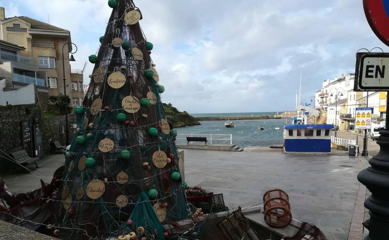 El árbol marino-tapiego en el puerto de Tapia. 