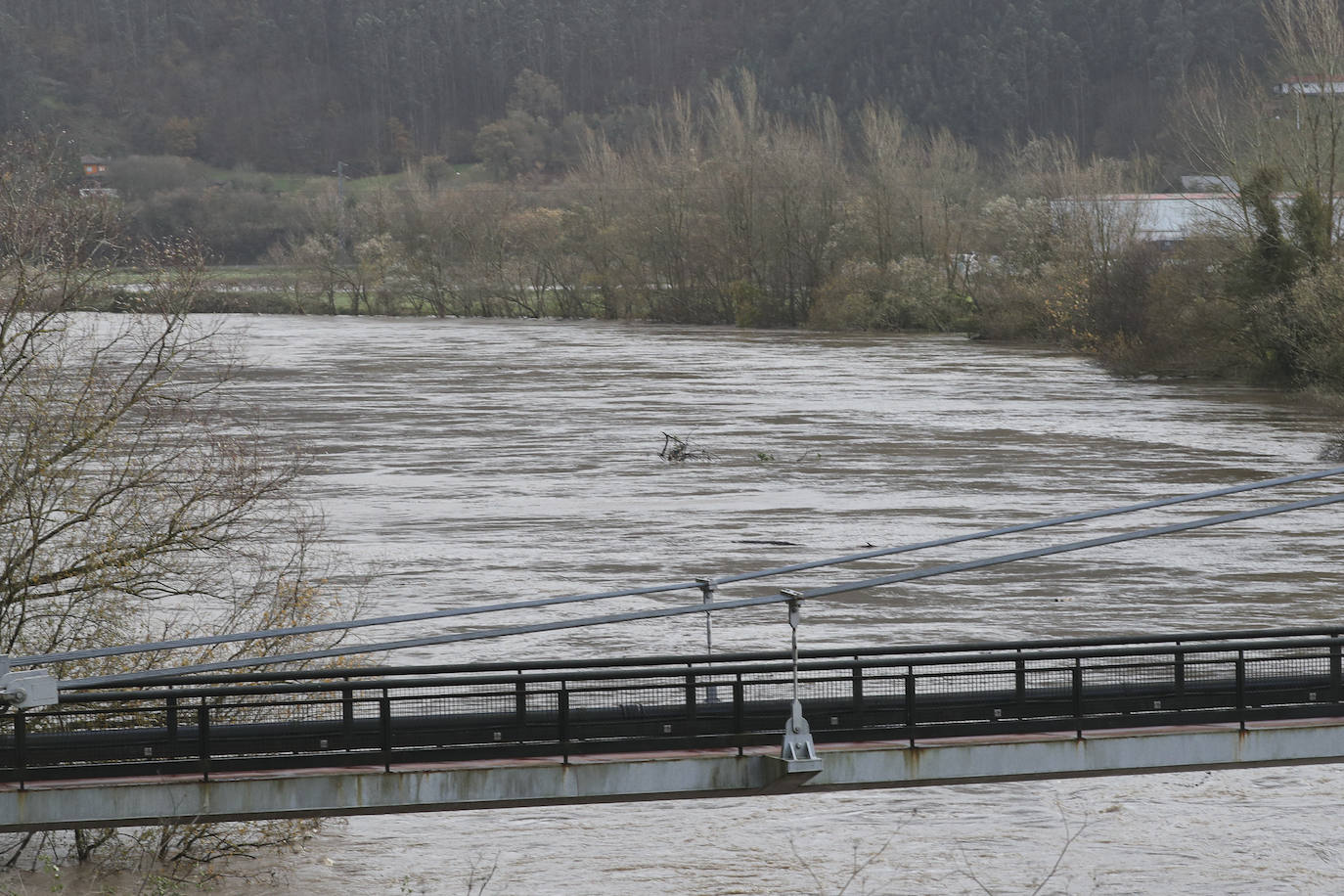 El Principado de Asturias ha activado el plan de inundaciones por el riesgo de desbordamiento de los ríos debido el aumento del caudal por las intensas precipitaciones en forma de lluvia y nieve registradas en los últimos días y ante la previsión de una «posible evolución desfavorable».