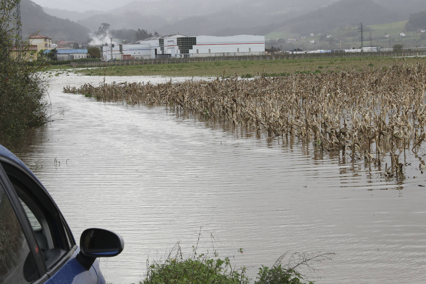 El Principado de Asturias ha activado el plan de inundaciones por el riesgo de desbordamiento de los ríos debido el aumento del caudal por las intensas precipitaciones en forma de lluvia y nieve registradas en los últimos días y ante la previsión de una «posible evolución desfavorable».