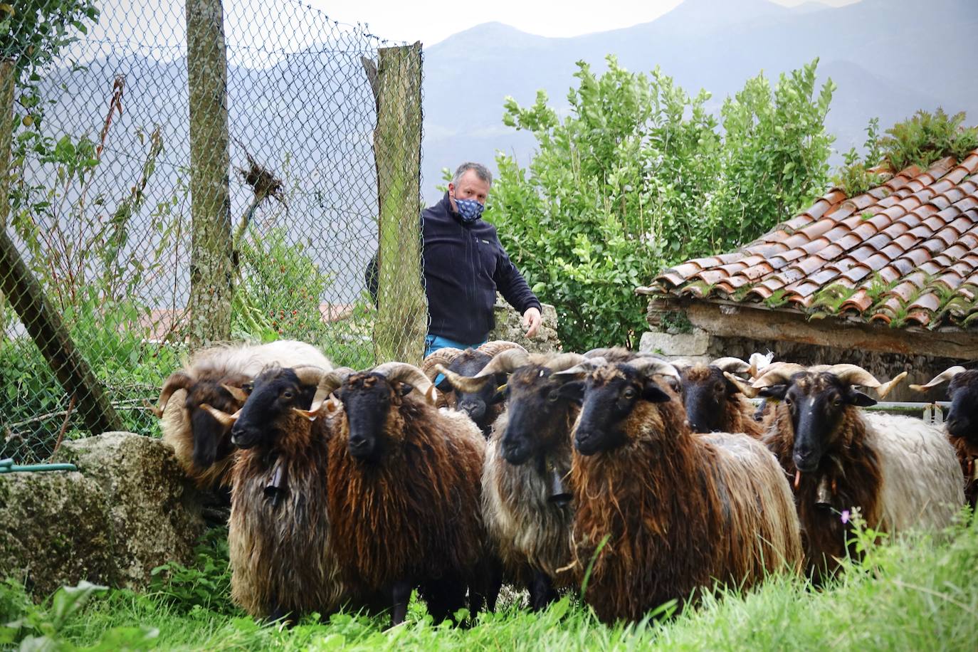 Andrés Jesús Robles, con su rebaño. 