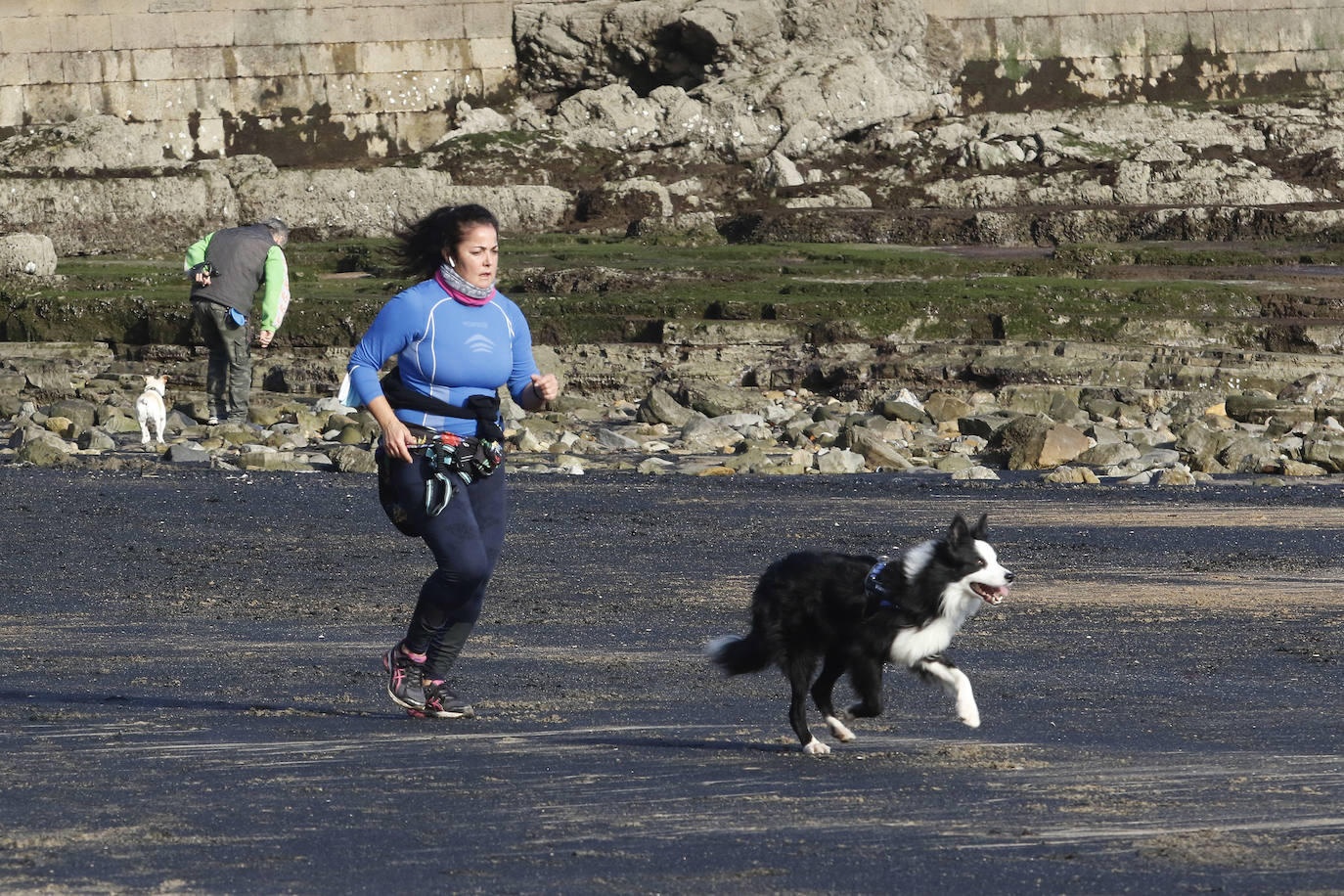 La playa de San Lorenzo de Gijón ha amanecido cubierta de carbón este jueves, casualmente coincidiendo con el día en el que se presentaban las conclusiones del estudio del laboratorio de Petrografía del Incar. Esta investigación atribuye a El Musel las manchas en el arenal gijonés. Apunta a la carga y descarga de carbón en los muelles y descarta que el material llegue por el viento. 