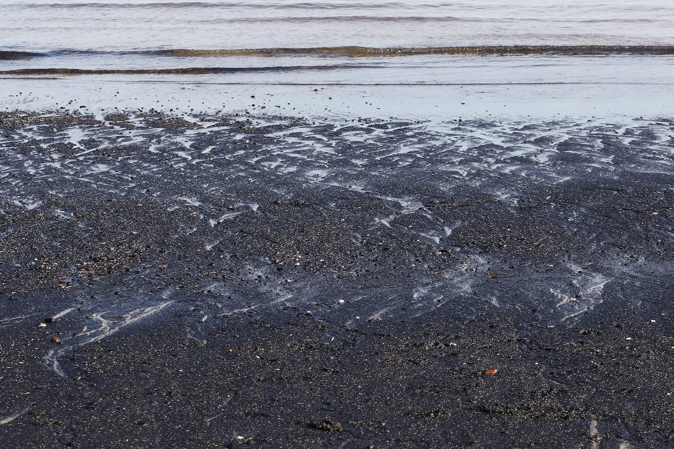 La playa de San Lorenzo de Gijón ha amanecido cubierta de carbón este jueves, casualmente coincidiendo con el día en el que se presentaban las conclusiones del estudio del laboratorio de Petrografía del Incar. Esta investigación atribuye a El Musel las manchas en el arenal gijonés. Apunta a la carga y descarga de carbón en los muelles y descarta que el material llegue por el viento. 