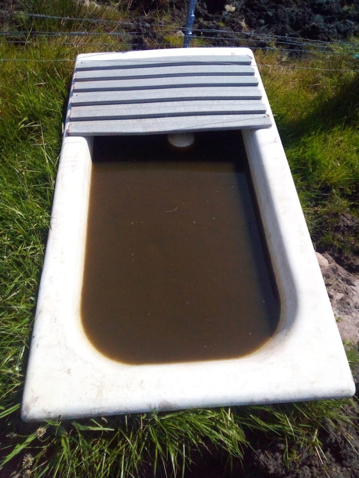 Estado del agua que llegó a los bebederos. 