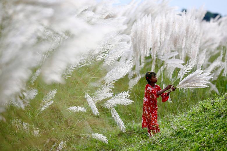 Blangadés | Una niña recoge amentos en un campo en medio de la pandemia de covid-19 en Sarighat, en las afueras de Dhaka, Bangladesh.