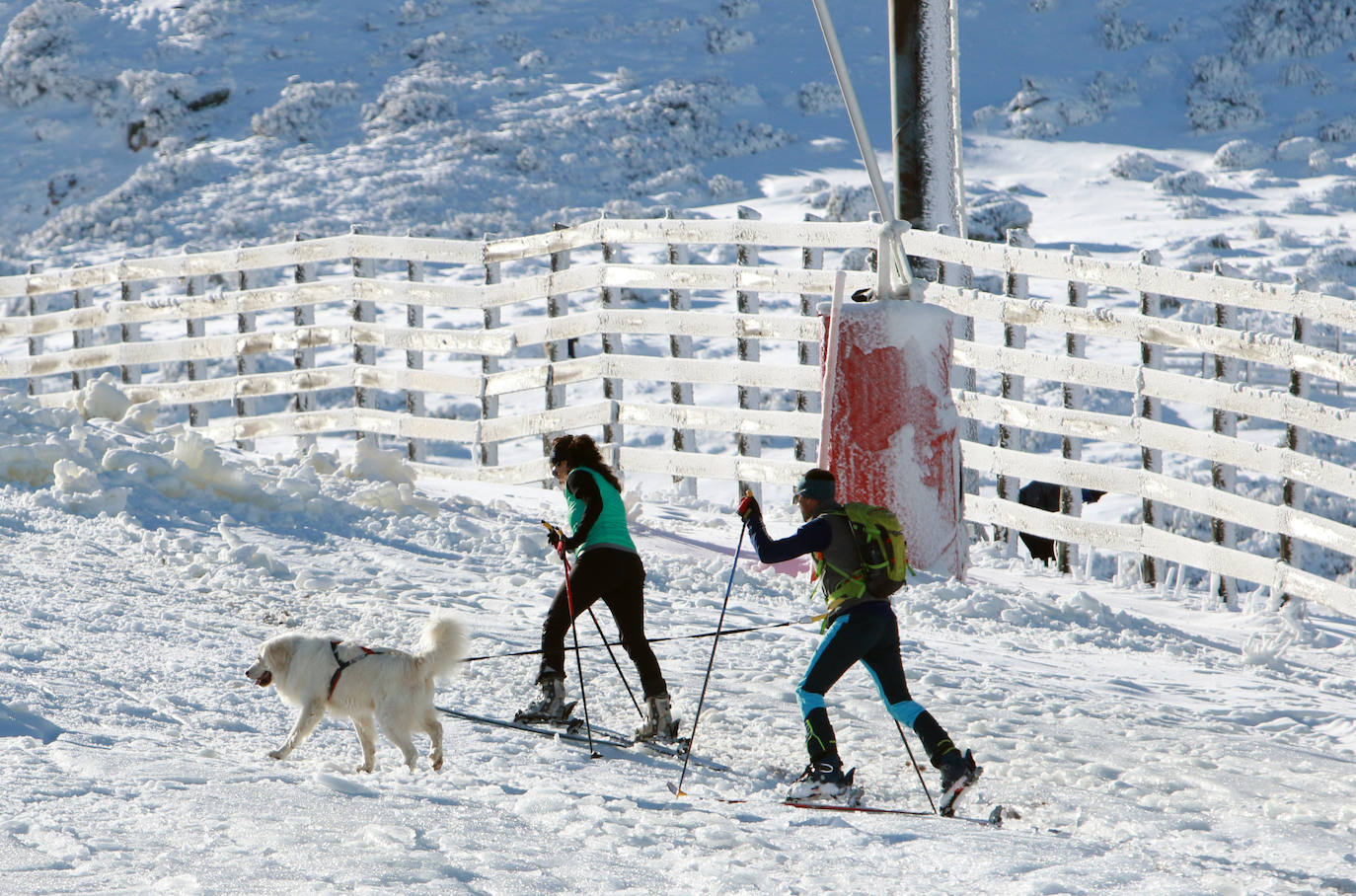 La instalaciones invernales de Asturias continúan cerradas. Igualmente, los amantes del esquí acudieron este sábado a disfrutar de un día soleado.