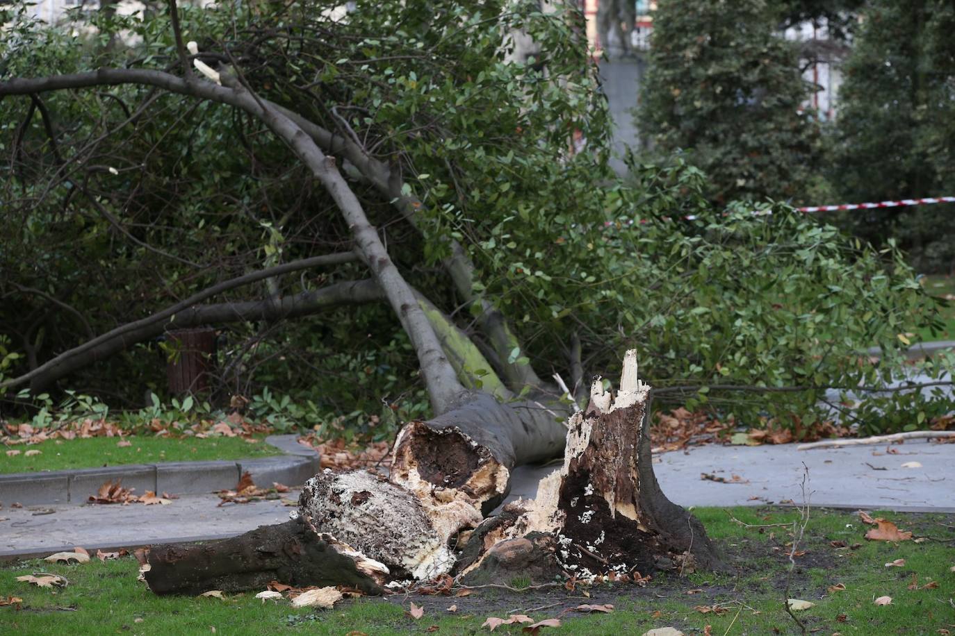 La borrasca 'Bella' que azota la cornisa Cantábrica deja rachas de hasta 110 kilómetros por hora y olas de diez metros en la región.