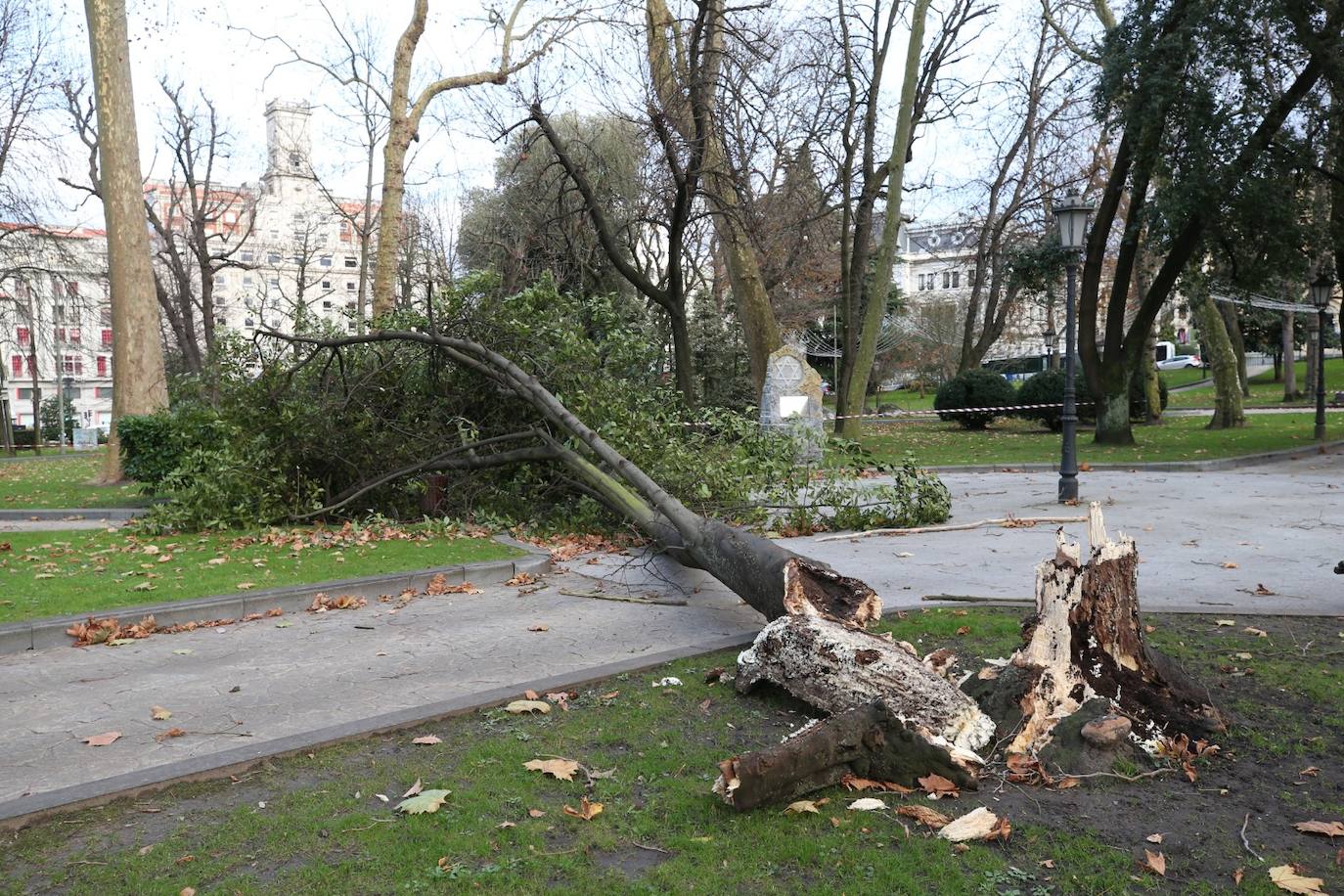 La borrasca 'Bella' que azota la cornisa Cantábrica deja rachas de hasta 110 kilómetros por hora y olas de diez metros en la región.