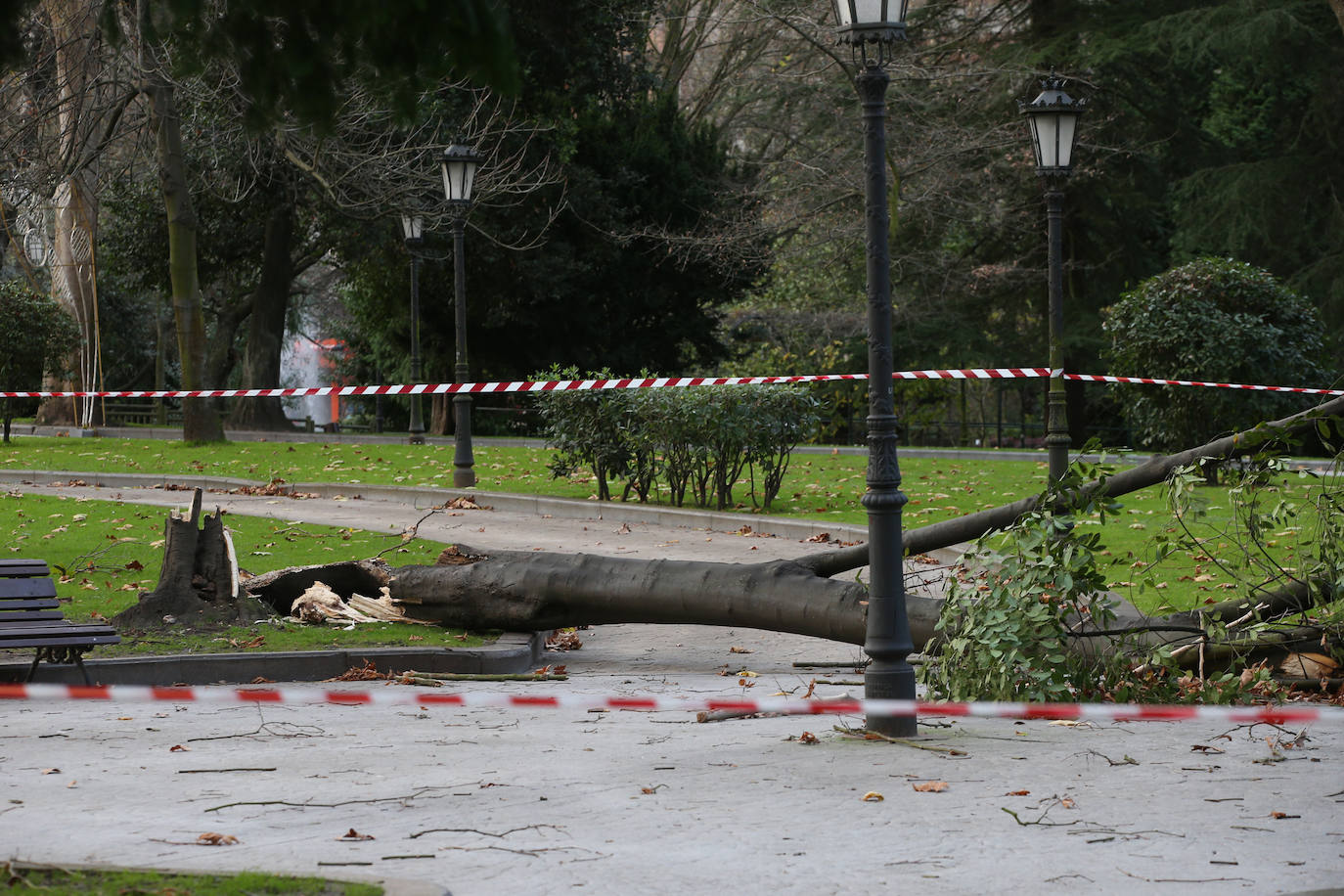 La borrasca 'Bella' que azota la cornisa Cantábrica deja rachas de hasta 110 kilómetros por hora y olas de diez metros en la región.
