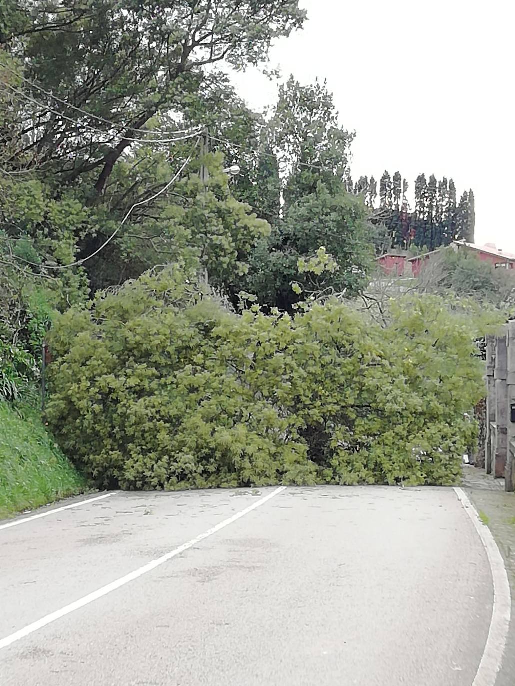 La borrasca 'Bella' que azota la cornisa Cantábrica deja rachas de hasta 110 kilómetros por hora y olas de diez metros en la región.