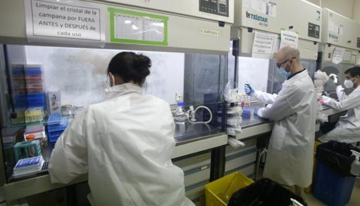 Tres investigadores trabajan en el laboratorio del Departamento universitario de Bioquímica. 