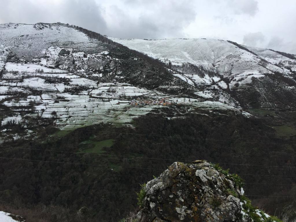 La borrasca 'Bella' ha provocado más de 1.900 incidencias en Asturias y complica las comunicaciones. La nieve acumulada en las últimas horas, que ha cerrado el puerto del Connio, obliga a usar cadenas en 15 altos de montaña. Los fuertes vientos han procovado la caída de árboles y la Aemet mantiene el litoral del Principado en alerta roja por olas de hasta diez metros 