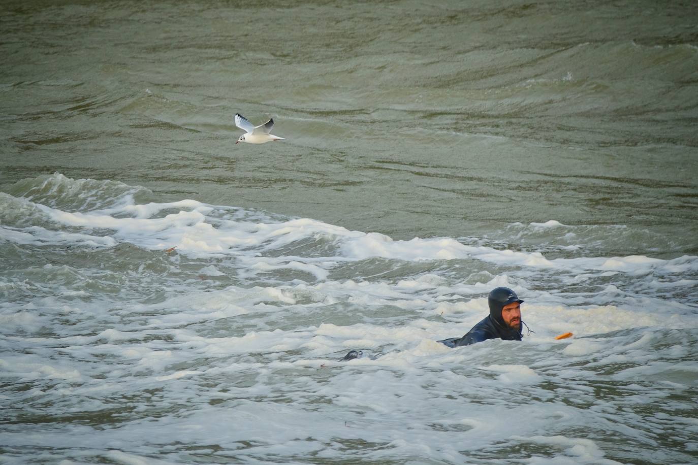 La borrasca 'Bella' ha provocado más de 1.900 incidencias en Asturias y complica las comunicaciones. La nieve acumulada en las últimas horas, que ha cerrado el puerto del Connio, obliga a usar cadenas en 15 altos de montaña. Los fuertes vientos han procovado la caída de árboles y la Aemet mantiene el litoral del Principado en alerta roja por olas de hasta diez metros 