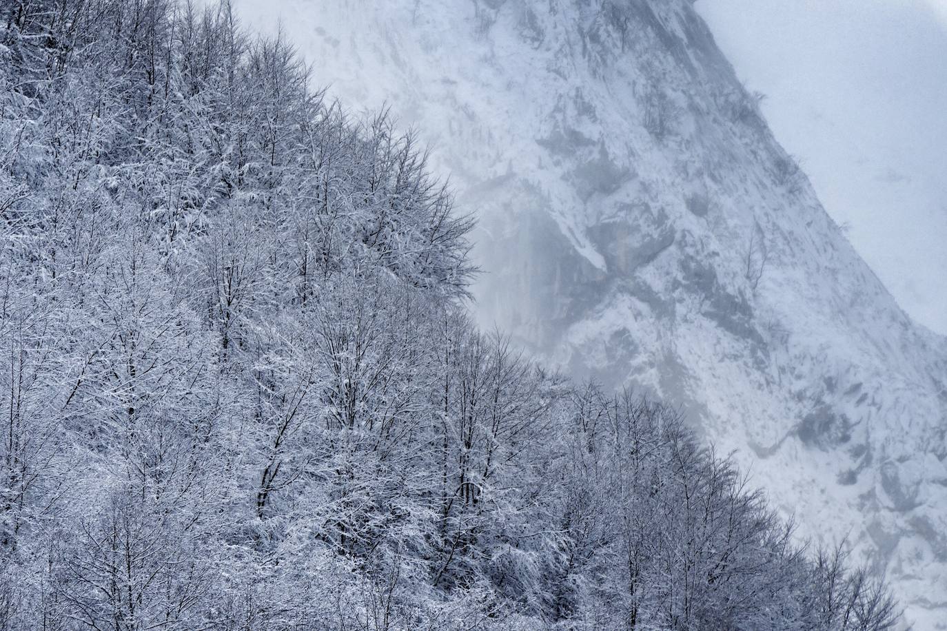 El frío y las fuertes precipitaciones volvieron a ser la nota predominante este martes en Asturias. Está previsto que durante las próximas horas remita el viento y el oleaje que ha castigado en los últimos días a la costa.