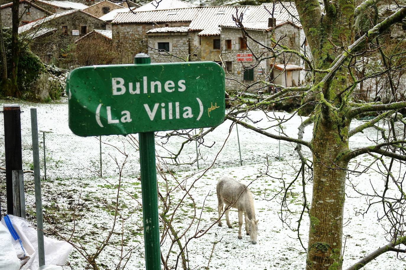 El frío y las fuertes precipitaciones volvieron a ser la nota predominante este martes en Asturias. Está previsto que durante las próximas horas remita el viento y el oleaje que ha castigado en los últimos días a la costa.