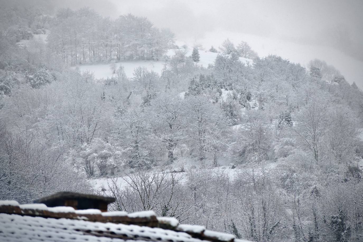 Temporal de frío y nieve en Asturias