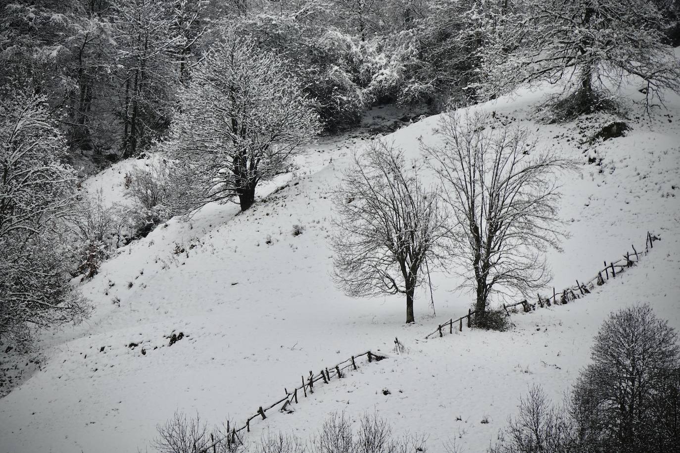 Temporal de frío y nieve en Asturias