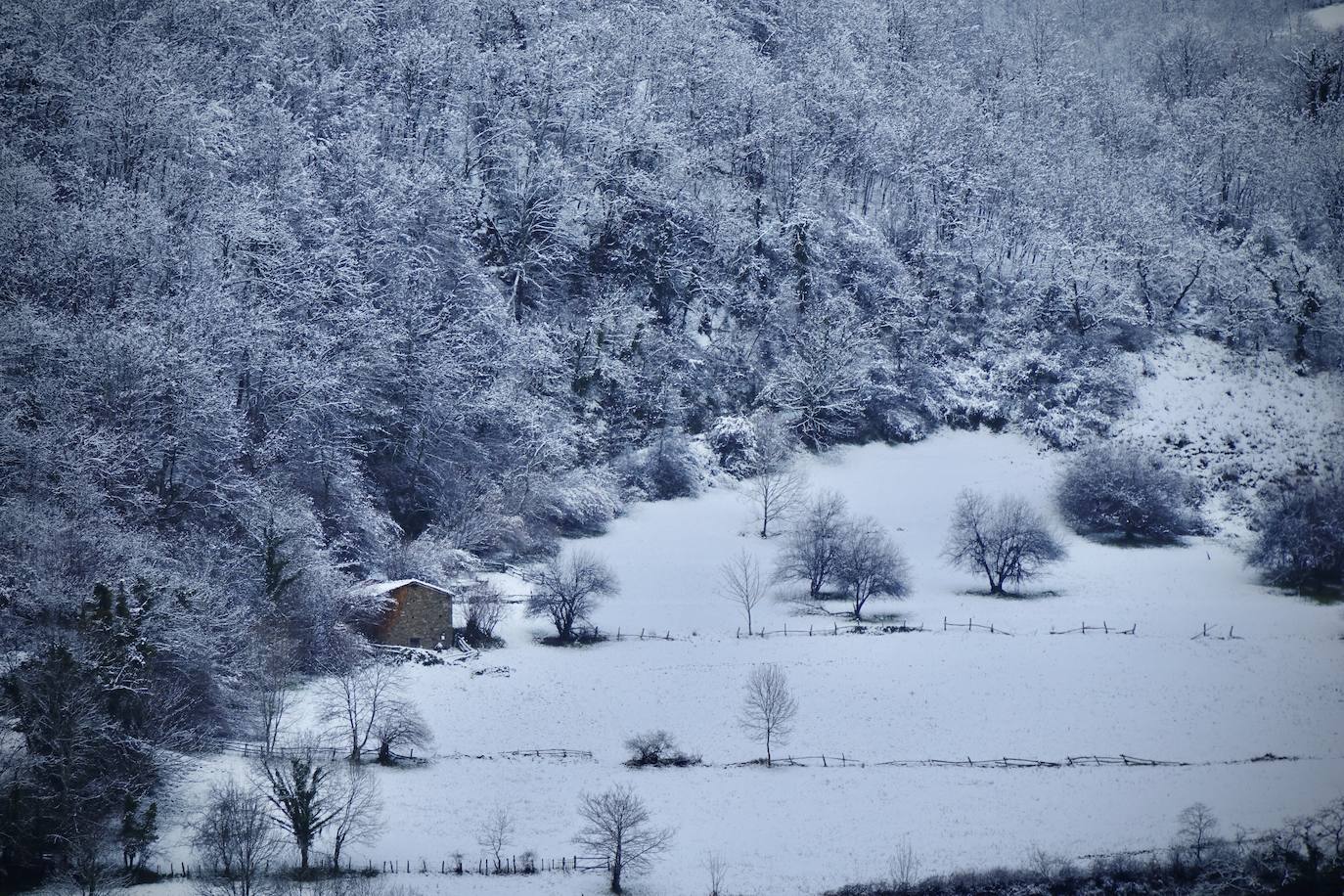 Temporal de frío y nieve en Asturias