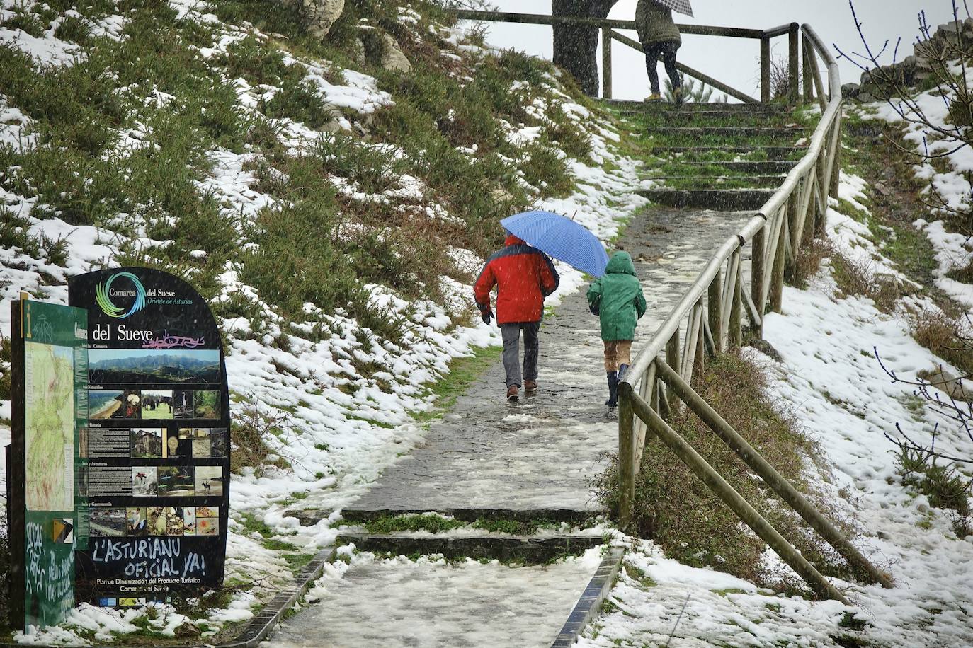Nieve en las cotas altas, lluvia que no cesa en el litoral. El temporal no da tregua en Asturias y está complicando mucho la circulación en las zonas de montaña y anegando algunos puntos.
