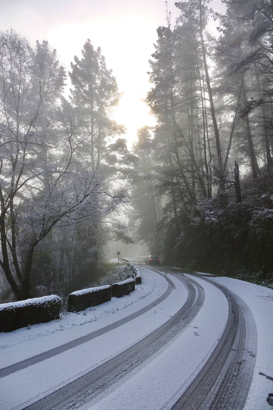 La nieve caída en las últimas horas en Asturias ha dejado estampas maravillosas, pero también ha alterado la vida de los vecinos de las zonas más altas de la región.