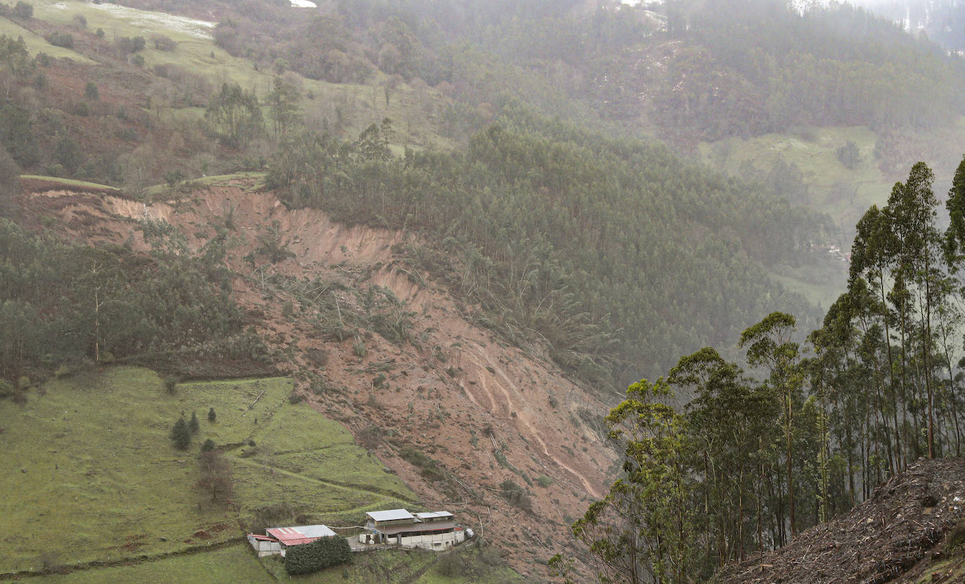 La ladera de un monte de Villaviciosa se derrumba por completo, sepultando parte de un camino