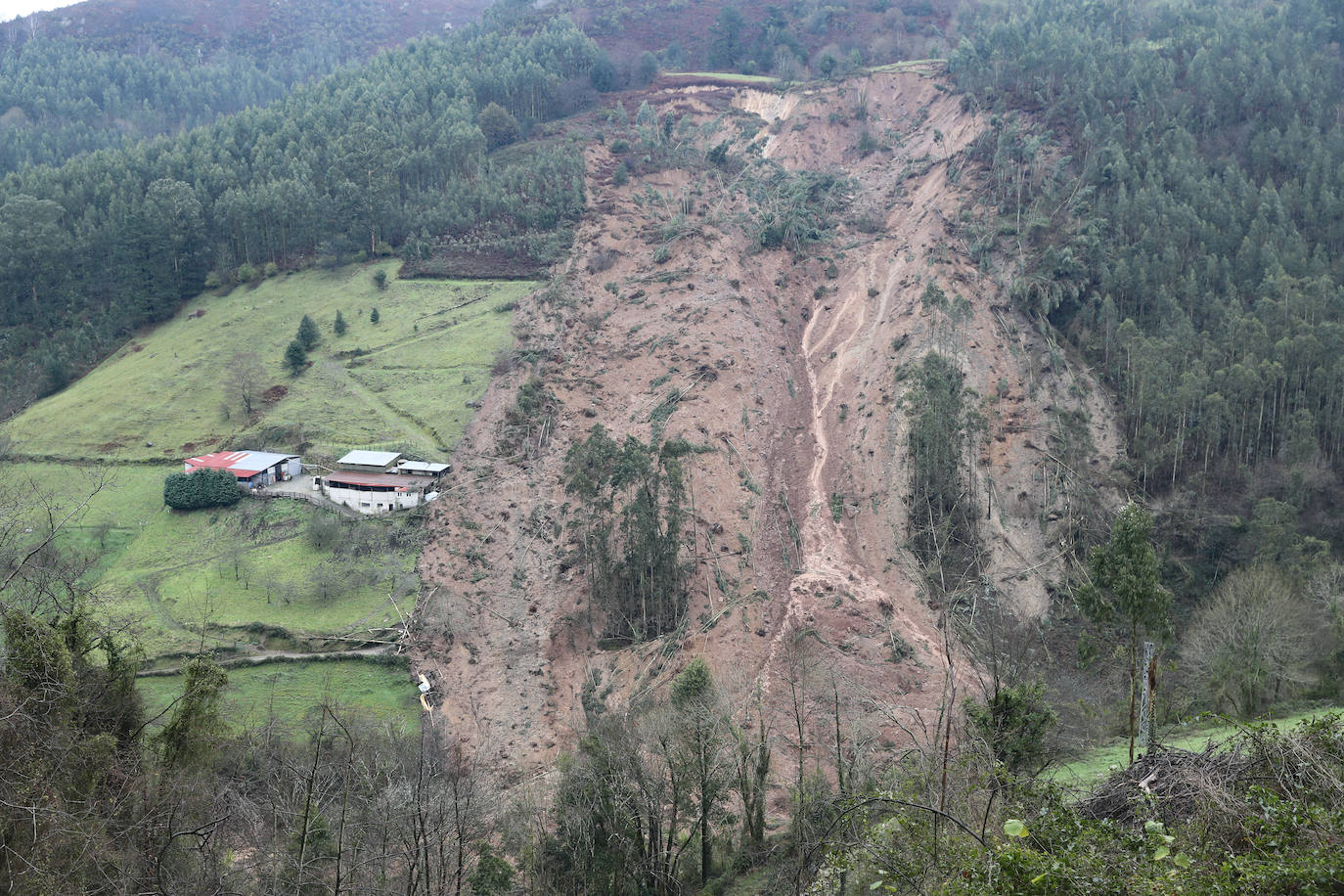 La ladera de un monte de Villaviciosa se derrumba por completo, sepultando parte de un camino