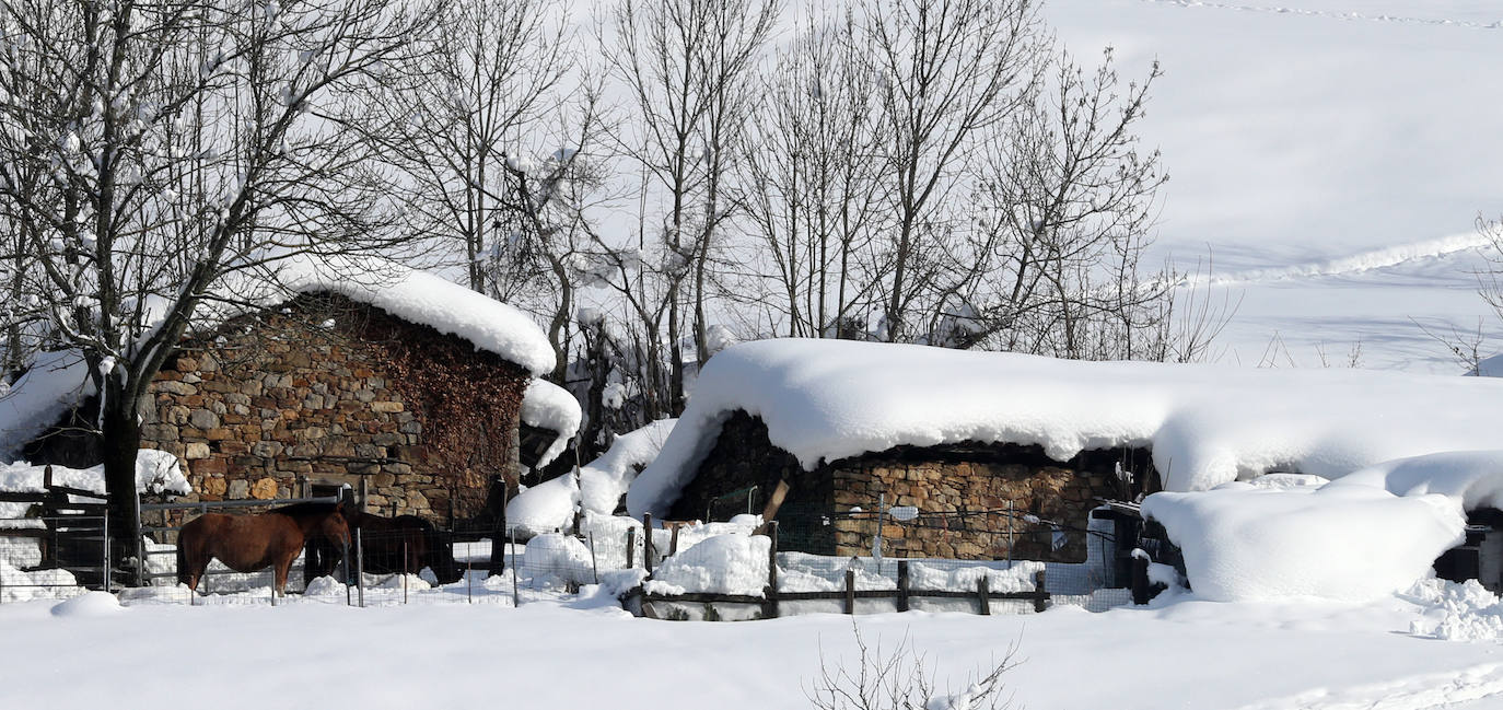 El temporal sigue sin dar tregua a Asturias. La Aemet ha decretato la alerta por las bajas temperaturas, que pueden llegar incluso a los -8ºC.