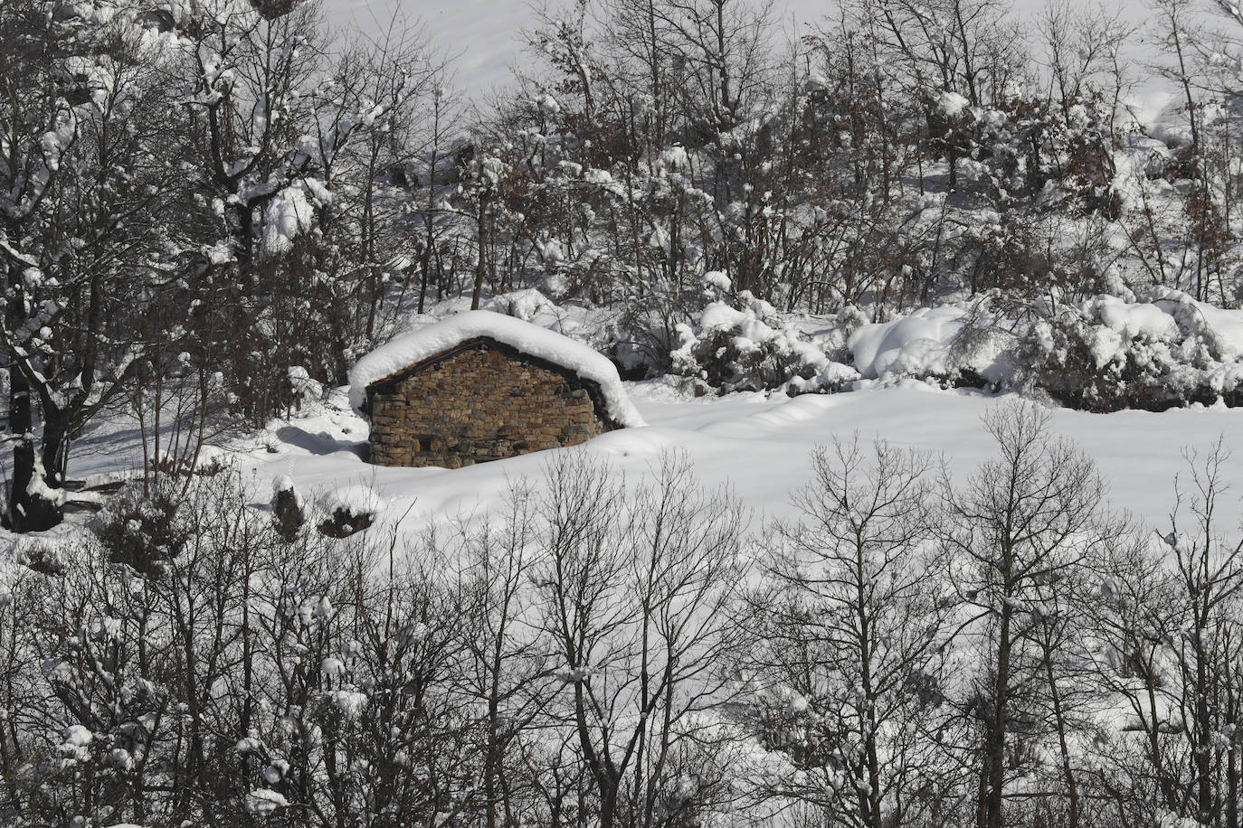 El temporal sigue sin dar tregua a Asturias. La Aemet ha decretato la alerta por las bajas temperaturas, que pueden llegar incluso a los -8ºC.