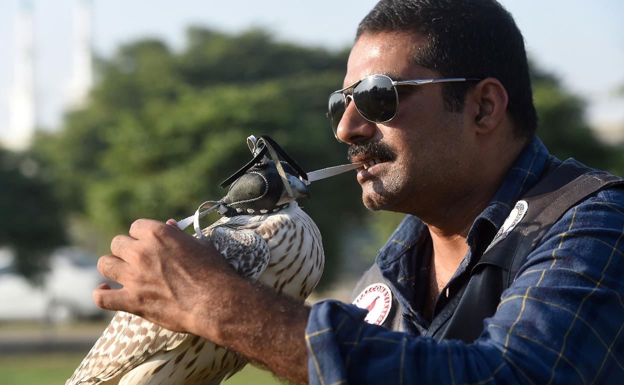 Uno de los responsables de la organización pakistaní que acoge y recupera a los halcones 