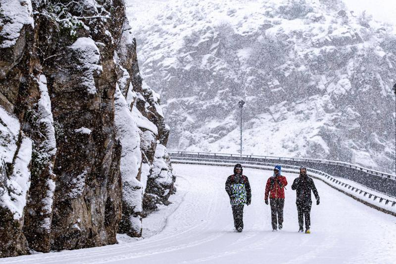El temporal está dejando impresionantes nevadas en todo el país, desde Asturias a Murcia, pasando por Madrid o Valencia. 