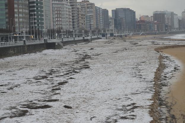 Gijón. La playa de San Lorenzo mantuvo durante las primeras horas del día una capa de hielo. VIDEO: La nieve cubre Oviedo a primera hora de la mañana 