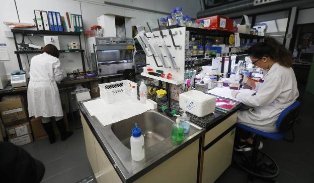 Una trabajadora, en los laboratorios del IPLA