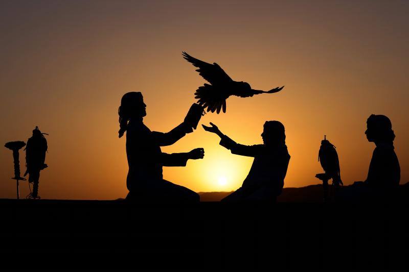 Las dunas de arena del desierto de Liwa, a unos 250 kilómetros del emirato del Golfo de Abu Dabi, es el lugar escogido por algunos aficionados a la cetrería para entrenar a los halcones. 