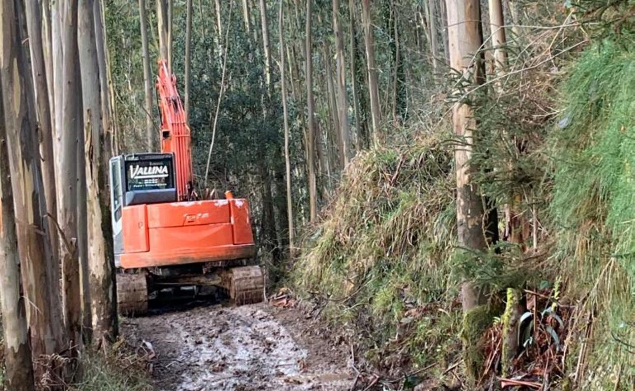Una pala lleva varios días trabajando para abrir una pista forestal hasta la vivienda aislada. 