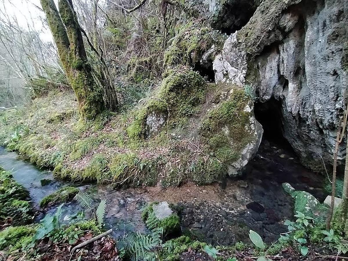 Fotos: Un paseo hasta la Cascada del Chorrón