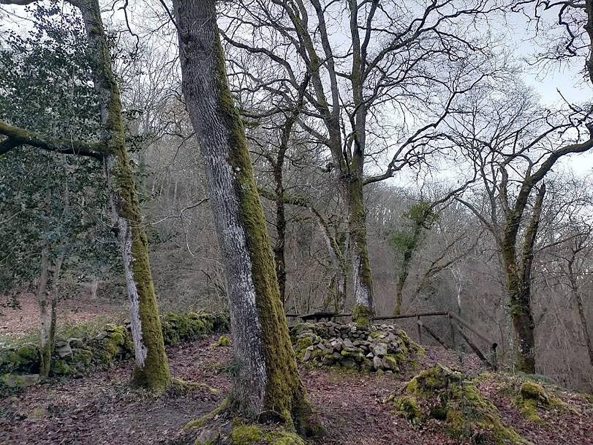 Fotos: Un paseo hasta la Cascada del Chorrón