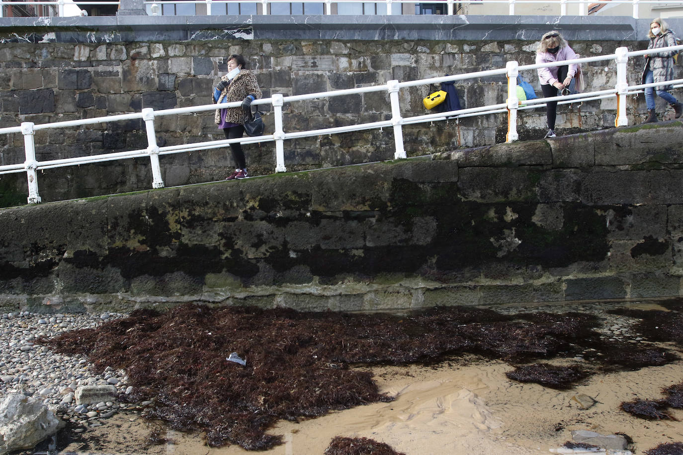 El arenal gijonés de San Lorenzo ha aparecido este martes cubierto por una capa de ocle. 