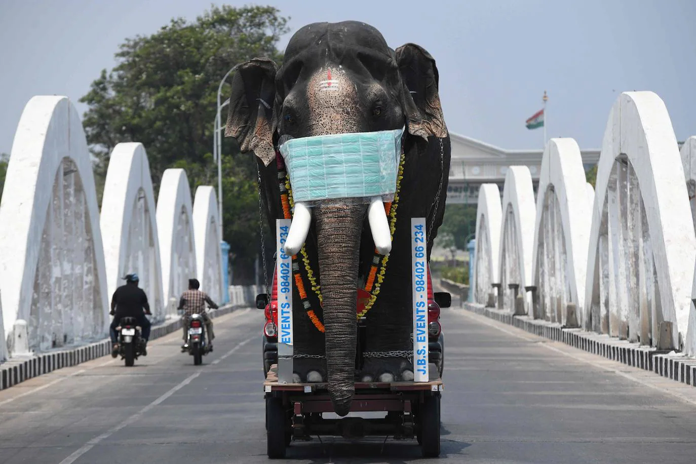 Esta réplica de un elefante con una mascarilla se utilizó para concienciar sobre la necesidad de cumplir las medidas de protección frente al coronavirus en Chennai, India. 
