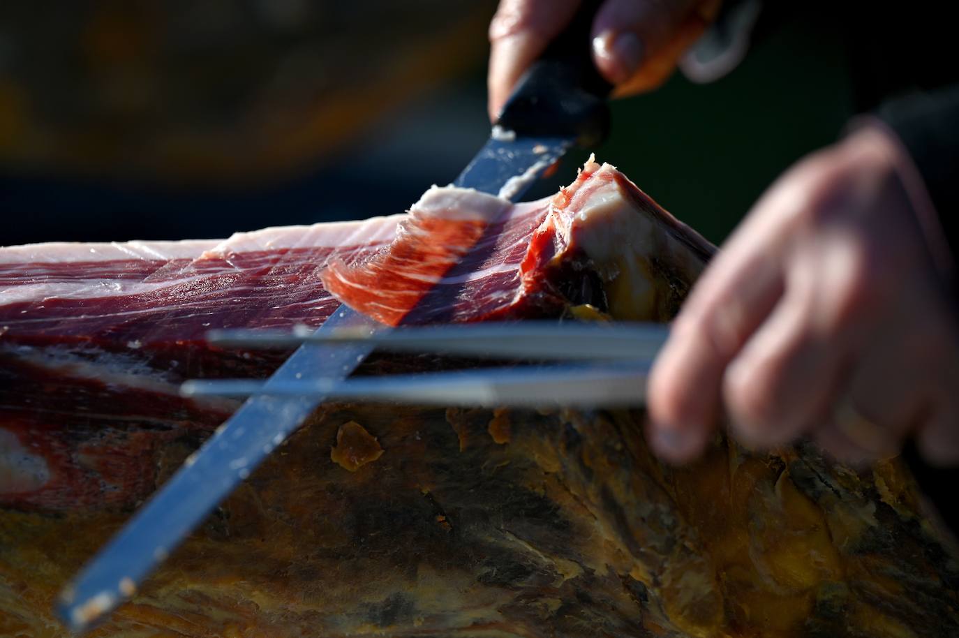 El jamón ibérico es el nombre que se da exclusivamente a los jamones procedentes del cerdo ibérico, o raza negra ibérica. El secreto de su sabor se debe a la dieta de bellotas de los cerdos. Los animales de las imágenes se alimentan en un amplio campo verde en Membrio, cerca de Cáceres. 