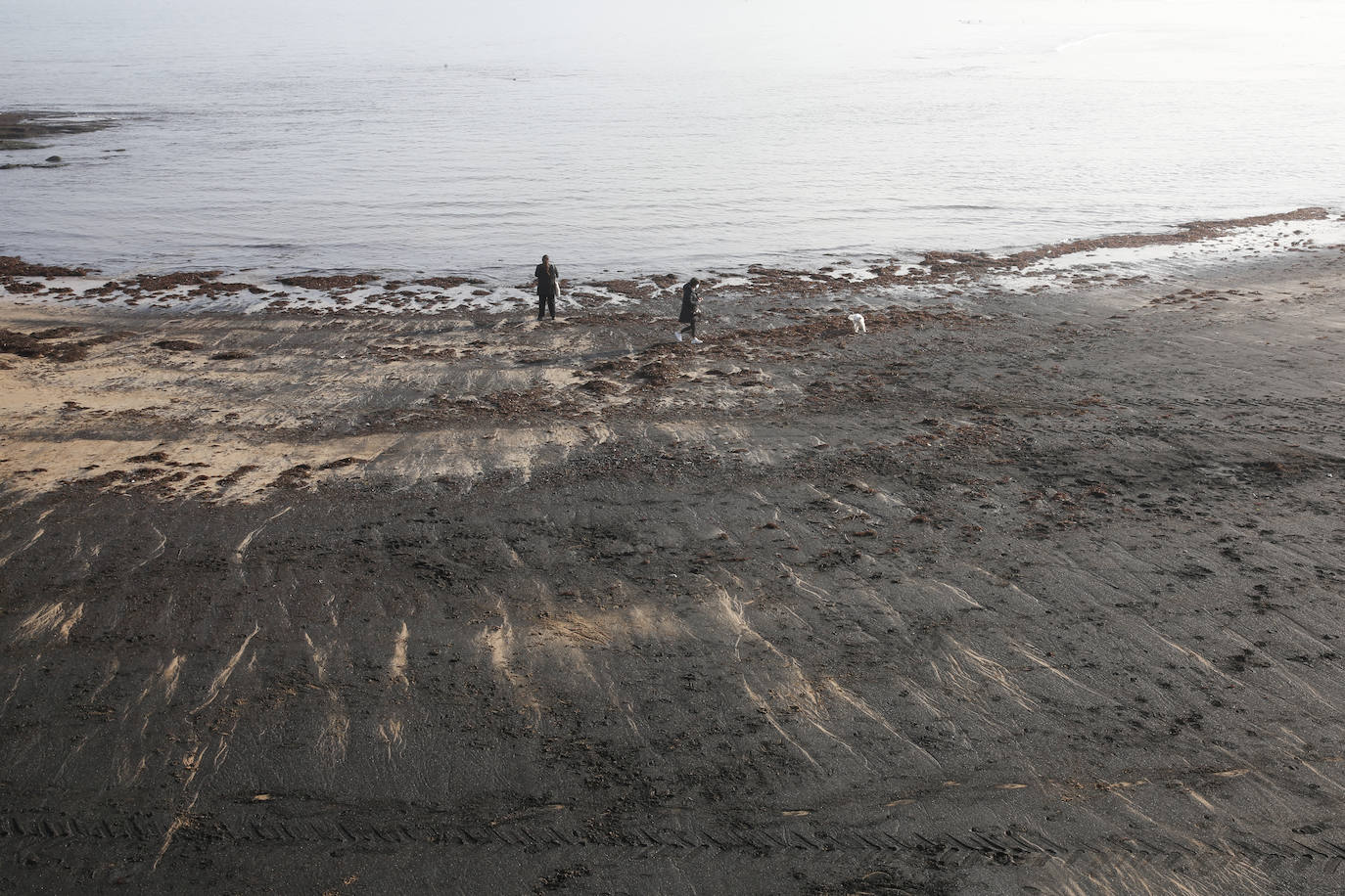 La gijonesa playa de San Lorenzo ha vuelto a amanecer cubierta de carbón, creando una estampa que sigue impactando.