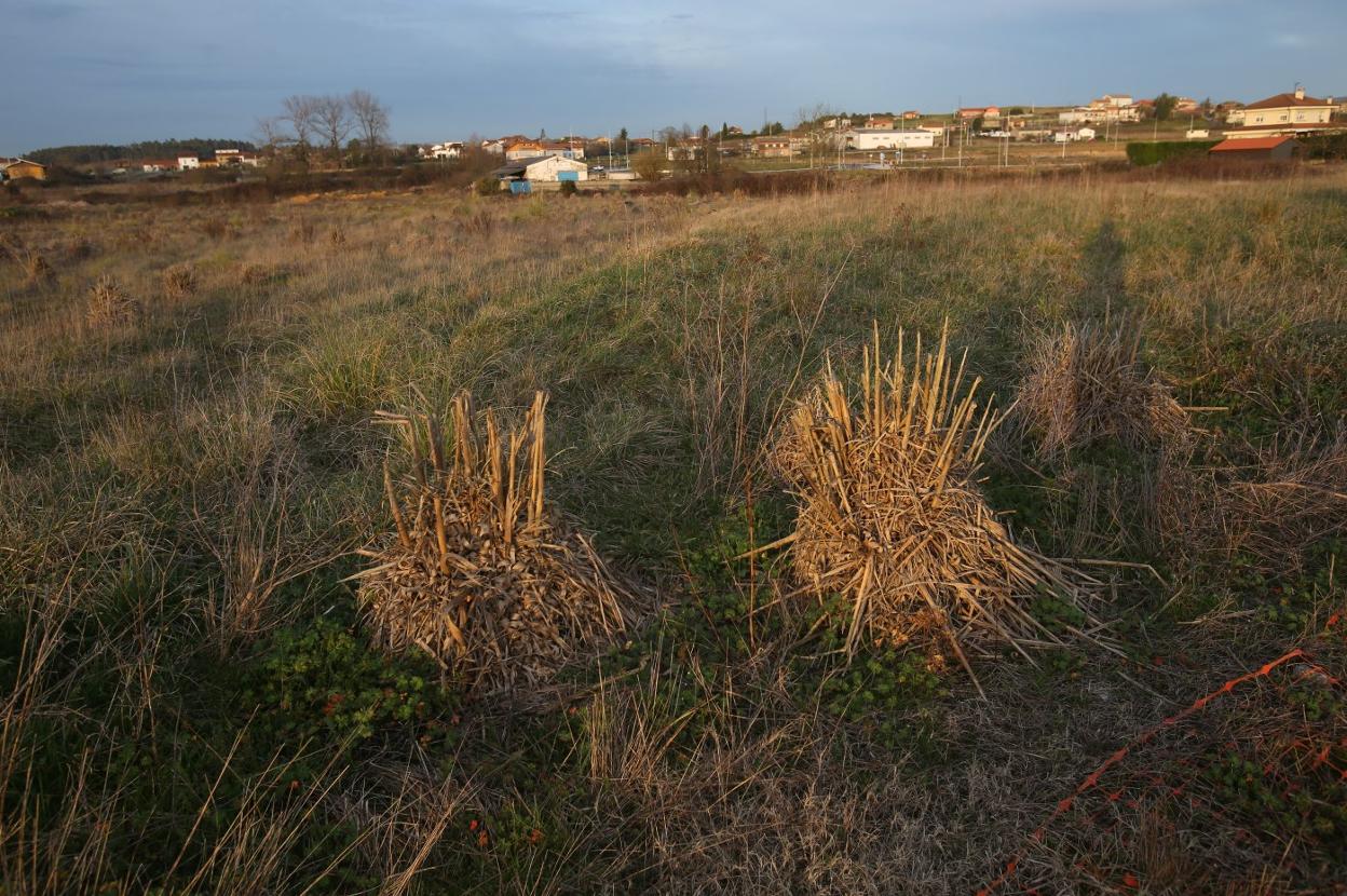 La zona del polígono de Bobes en la que Amazon construirá su centro logístico. 