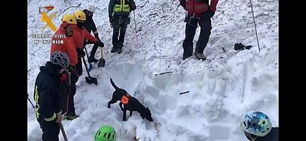 Uno de los perros localiza el rastro de Virgilio García en la nieve. Sobre estas líneas, los agentes tratan de liberar la quitanieves. 