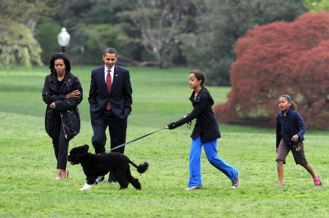 Obama no tenía perros durante su campaña electoral, pero prometió a sus hijas Sasha y Malia un cachorro durante su discurso de aceptación después de ganar las elecciones de 2008. Bo fue el primero en llegar a la familia, en abri de 2009, y fue un regalo del difunto senador Ted Kennedy. 