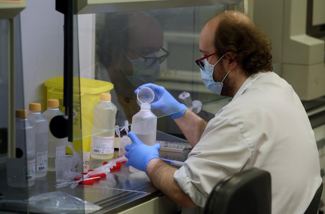 Un técnico del laboratorio de Virología del HUCA prepara las muestras de PCR para su análisis. 